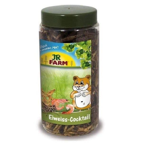 Jr Farm Proteincocktail For Gnagare – Högst klass – råttgodis bäst i test 2026