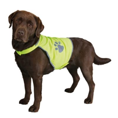 Reflexväst För Hund – Bäst i test – reflexväst hund bäst i test 2026