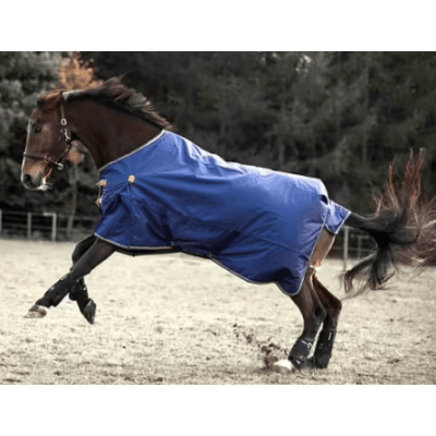 Shires - Highlander Original Regntäcke 50g – Topprankad lyx – regntäcke häst bäst i test 2026