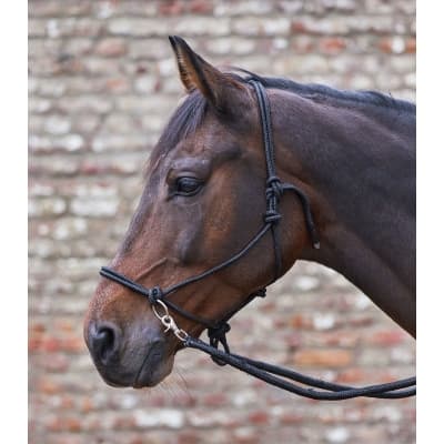 Waldhausen Repgrimma Med Tyglar - Svart – Toppval med tyglar – repgrimma bäst i test 2026