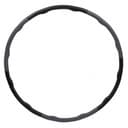 Titan Life Hula Hoop