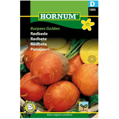 Rödbeta ''burpees Golden' Frö – Bäst i test – rödbeta bäst i test 2026