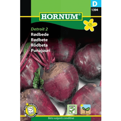 Rödbeta 'detroit 2' Frö – Tåligast sort – rödbeta bäst i test 2026
