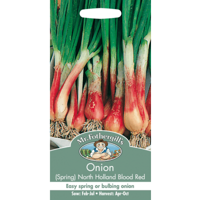 Salladslök 'north Holland Blood Red' – Budgetfavorit – salladslök bäst i test 2026