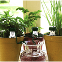 Water-waiter Semestervattnare, 3-pack