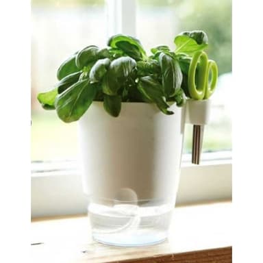 Kryddväxtkruka All-in-1