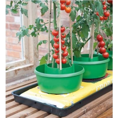 Plantkrage – Prispressad vinnare – självbevattnande kruka bäst i test 2026