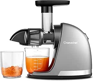AMZCHEF kallpressande slowjuicemaskin - masticerande elektrisk fruktpress för grönsaker och frukt - finfördelad tuggning utan filter - juicepress med 2 koppar och borste - Silver