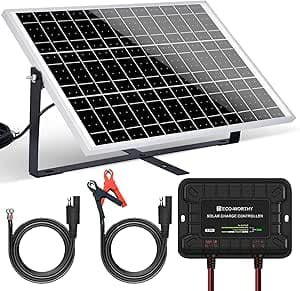 ECO-WORTHY 25 W 12 V monokristallin solpanelssats: 25 W solpanel justerbart fäste SAE-anslutningskabel laddningsregulator för trädgård, stugor hus och marin båt