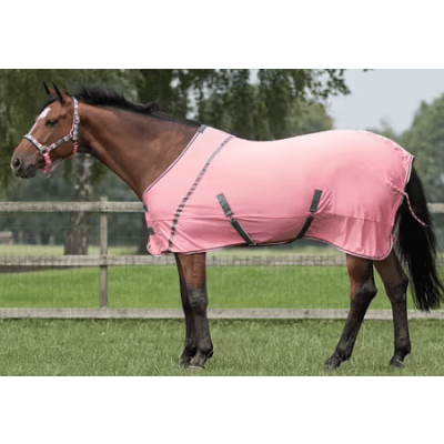 Qhp Sommartäcke Coolmesh - Flamingo Pink – Budgetfavorit – sommartäcke till häst bäst i test 2026