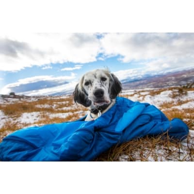 Non-stop Sleeping Bag For Dogs – Bäst i test – sovsäck hund bäst i test 2026