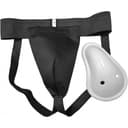 Leonark Suspensoar