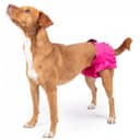 Finnero Ballerina Tikskydd