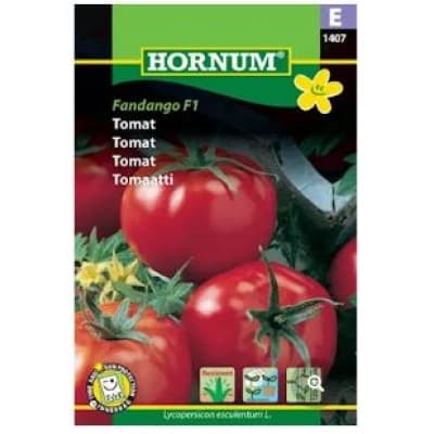 Tomat 'fandango' – Snabbast skörd – tomatsorter att odla bäst i test 2026