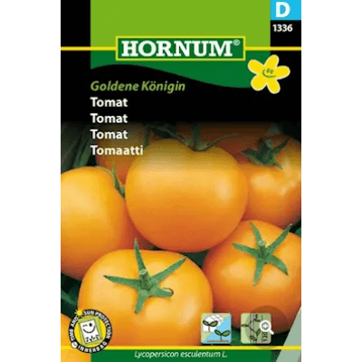 Tomat 'goldene Königin' Frö – Prisvänligast – tomatsorter att odla bäst i test 2026