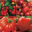 Wexthusets Tomatmix