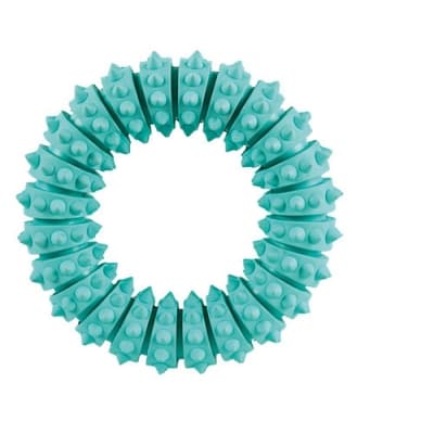 Denta Fun Tuggring – Lyxigaste valet – tuggleksak valp bäst i test 2026