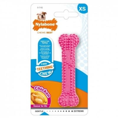 Nylabone Puppy Teething Dental Chew Rosa – Tandstensvinnare – tuggleksak valp bäst i test 2026