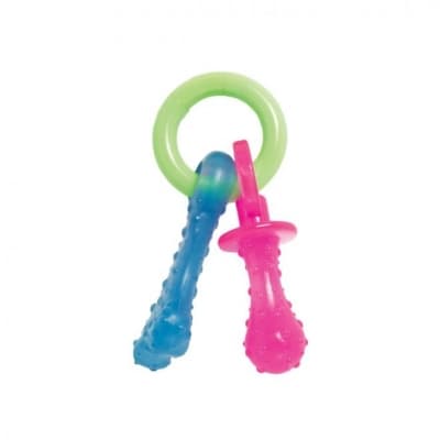Nylabone Puppy Teething Pacifier – Toppen för små – tuggleksak valp bäst i test 2026
