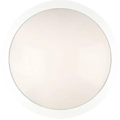 Hide-a-Lite Moon Public Round IK10 Tak- och väggplafond 3000K