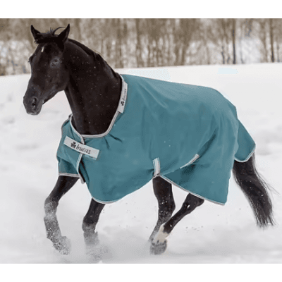 Bucas Atlantic Turnout Utetäcke 200 G – Toppklassval – vintertäcke häst bäst i test 2026