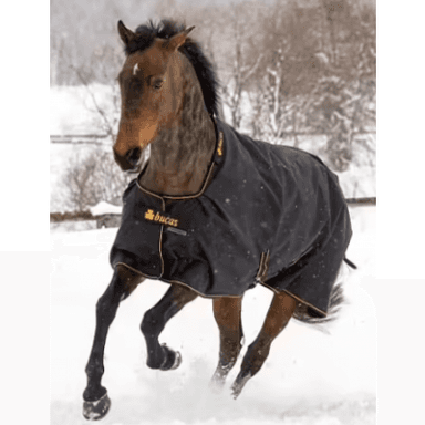 Bucas Irish Turnout 300g Utetäcke - Svart/guld