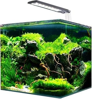 Amtra Nanotank kub 30L – Bästa kubakvarium – akvarium 30 liter bäst i test 2026