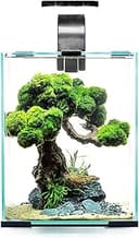 Aquael Shrimp Set 30L