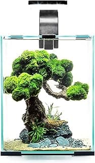 Aquael Shrimp Set 30L – Bäst för räkor – akvarium 30 liter bäst i test 2026