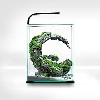 Aquael Smart D&N 30L – Bästa nybörjarval – akvarium 30 liter bäst i test 2026