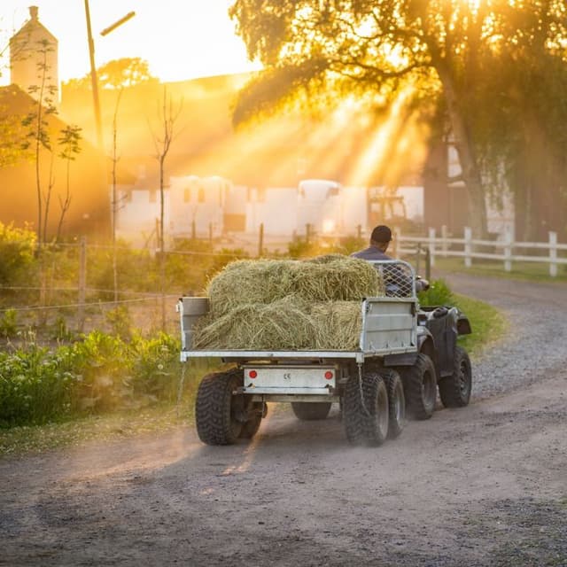 Tippvagn ATV 1,5 ton – Bäst i test – atv-släpvagn bäst i test 2026