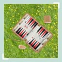 RXS Resespel Backgammon