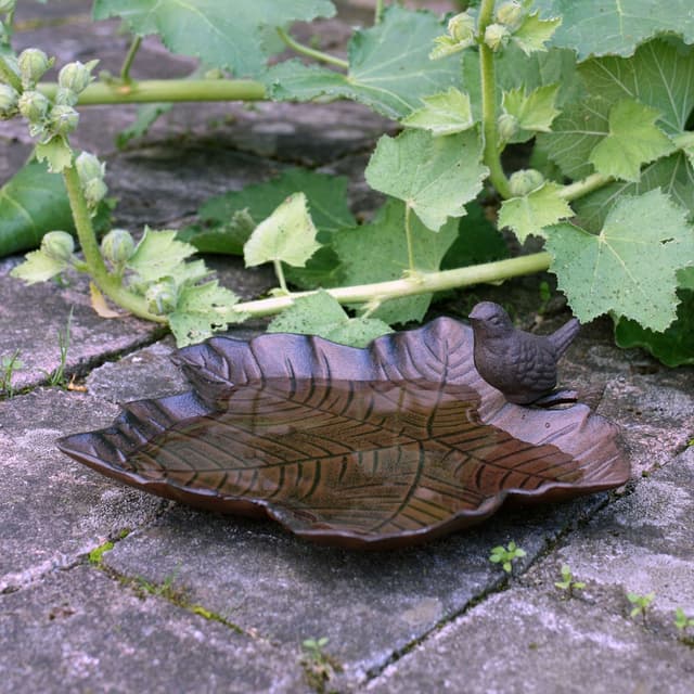 Lövformad fågelbad – Bästa design – fågelbad inomhus bäst i test 2026