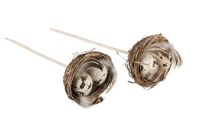 Vaktelbo 6 cm – Budgetval – fågelrede bäst i test 2026