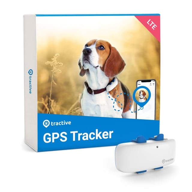 Tractive Dog GPS LTE – Bästa prisvärda – hundpejl gps bäst i test 2026