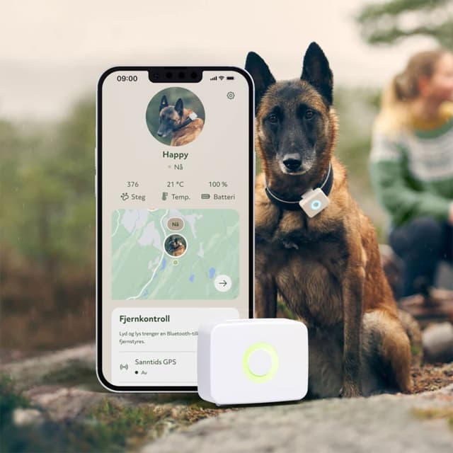 LilDog GPS-Tracker – Bäst för små hundar – hundpejl gps bäst i test 2026