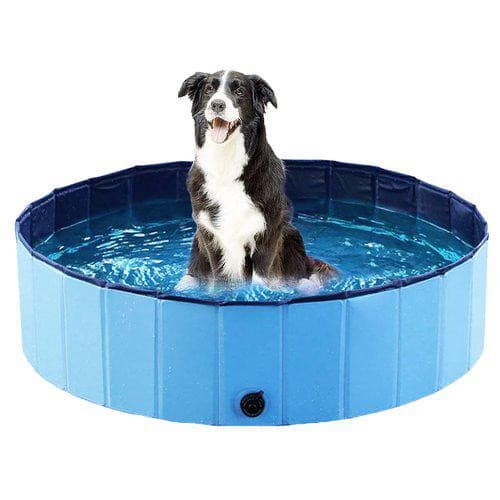Ozami Hundpool Large – Bäst för stora hundar – hundpool bäst i test 2026