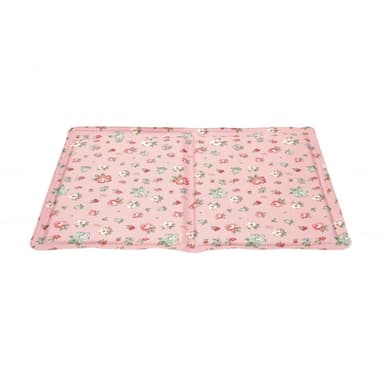 Ferribiella Amore kylmatta