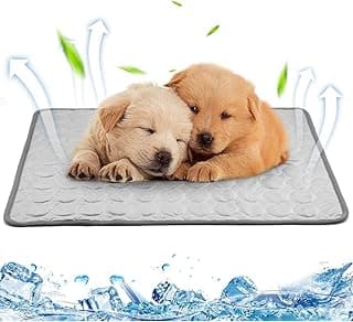 Självkylande matta 60×50 – Bäst för resor – kylmatta för katt bäst i test 2026