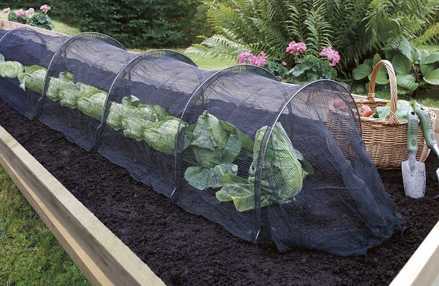 Växttunnel 40×50×310 cm – Budgetval – odlingstunnel bäst i test 2026