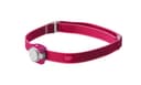 GP Everybody CH31 Rosa