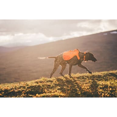 Non-stop Dogwear kevlar-väst