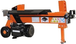 Forest Master FM10D-7-TC – Bäst premium elektrisk – vedklyv bäst i test 2026