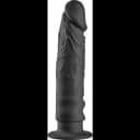 Analdildo bäst i test 2026